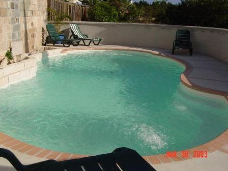Atlantic Pool - Rodrigues