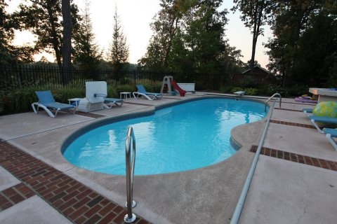 Oasis