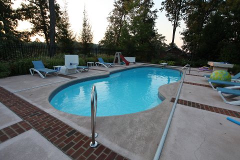 Oasis
