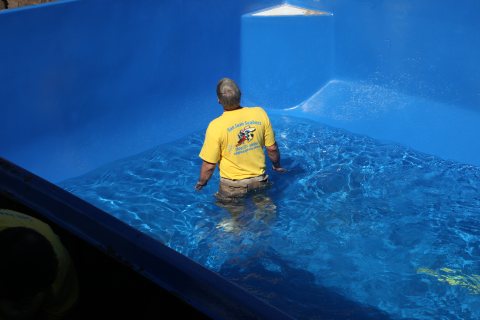 Pool inspiration