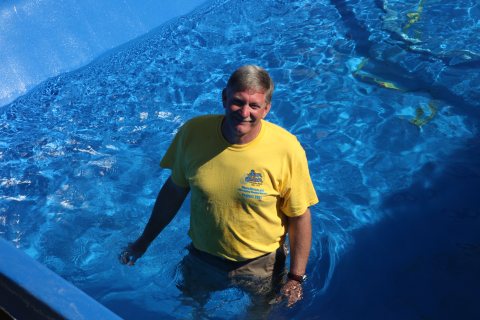 Pool inspiration