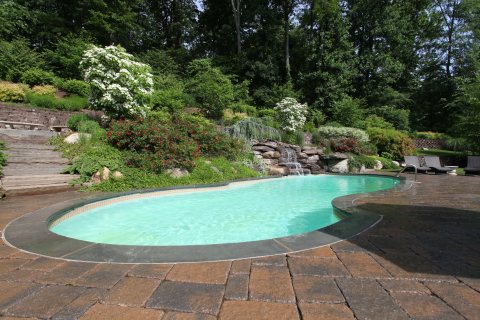 Oasis