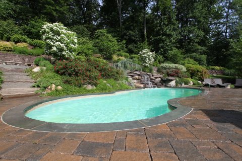 Oasis