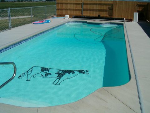 Pool inspiration