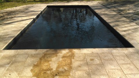 Pool inspiration