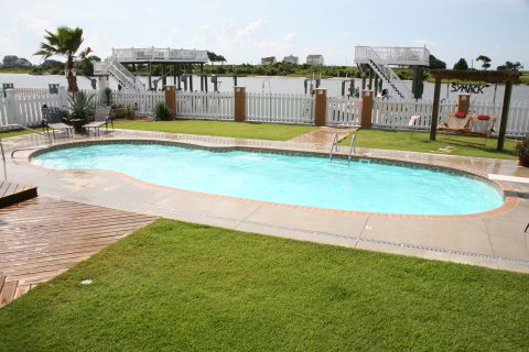 Oasis