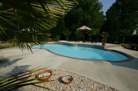 Pool inspiration