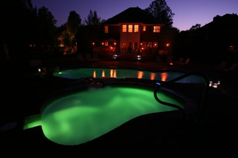 Oasis