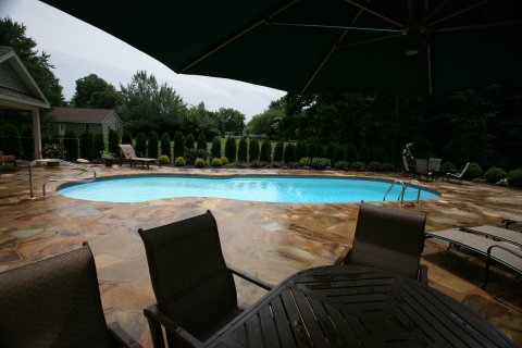 Oasis