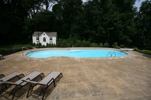 Oasis