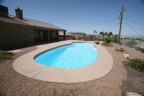 Oasis