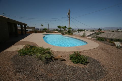 Oasis