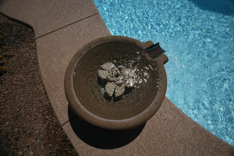 Oasis