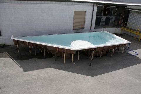 iPool I