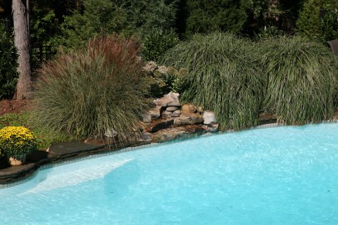 Oasis