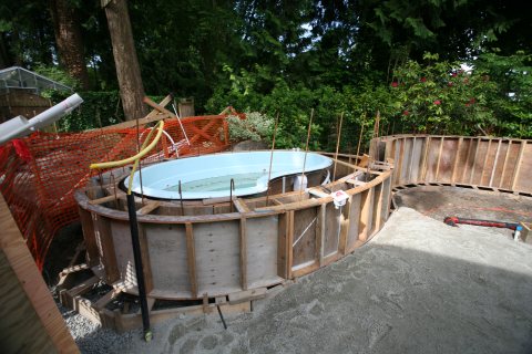 Oasis