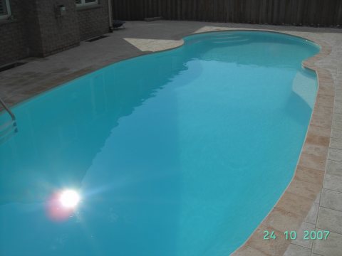 Oasis