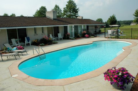 Oasis