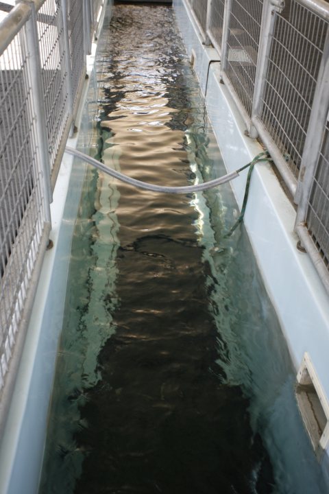 Pool inspiration