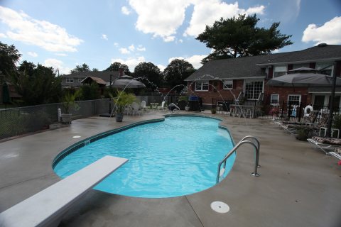Oasis