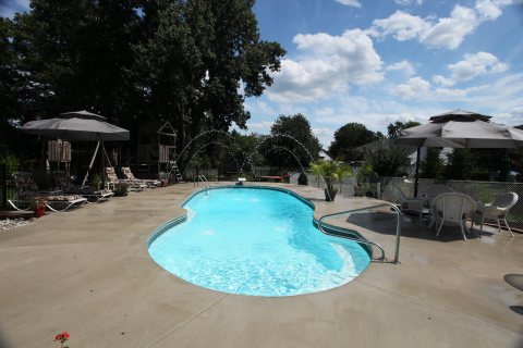 Oasis