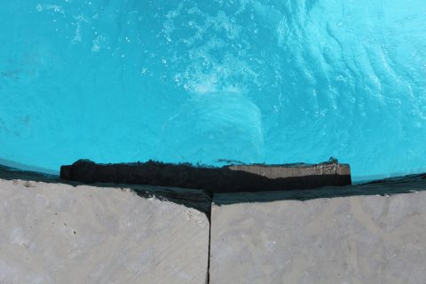Oasis