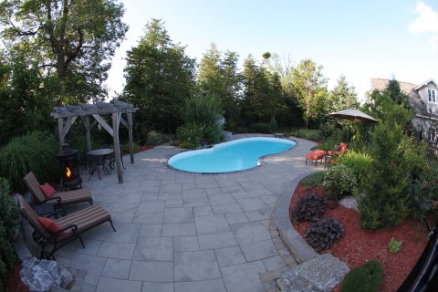 Oasis