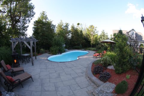Oasis