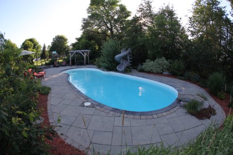 Oasis