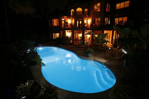 Oasis