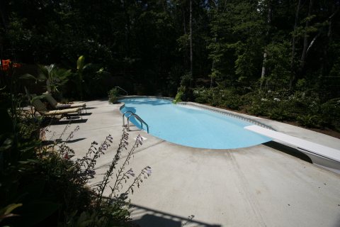Oasis