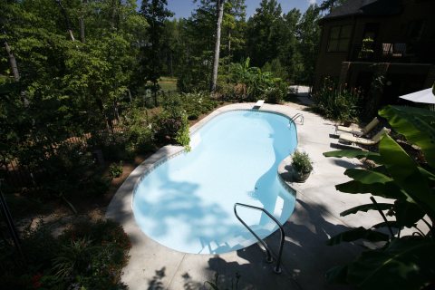 Oasis