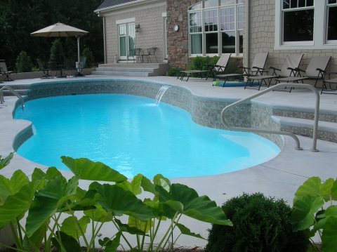 Oasis